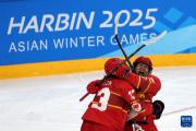 开云体育入口-冰球小组赛落幕，强队悉数晋级