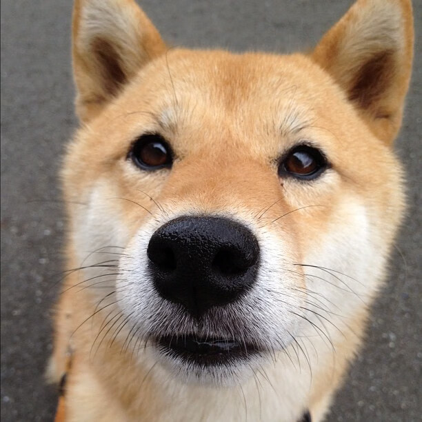 胜利与救赎,威尔士稳胜澳大利亚,黄喜灿铸就自我重生之路