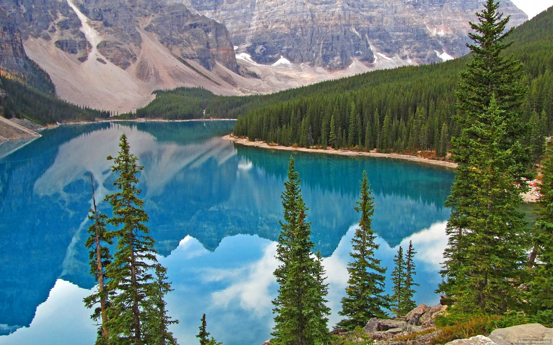 阿姆斯特丹的坚盾与美洲的决斗之夜