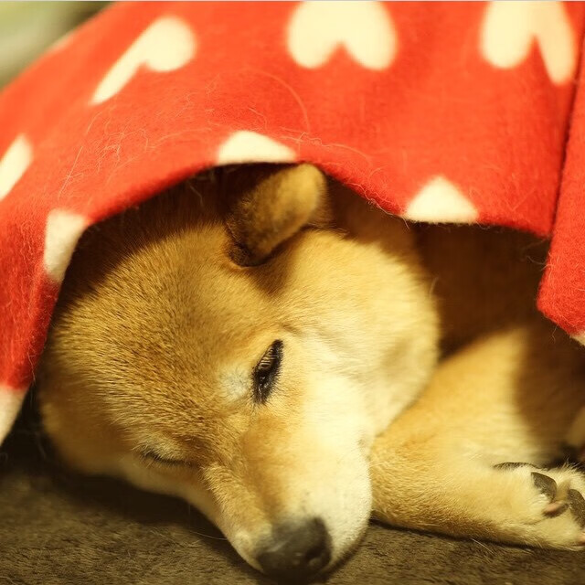 跨界镜像，当德布劳内的稳定成为NBA总决赛的隐秘回响