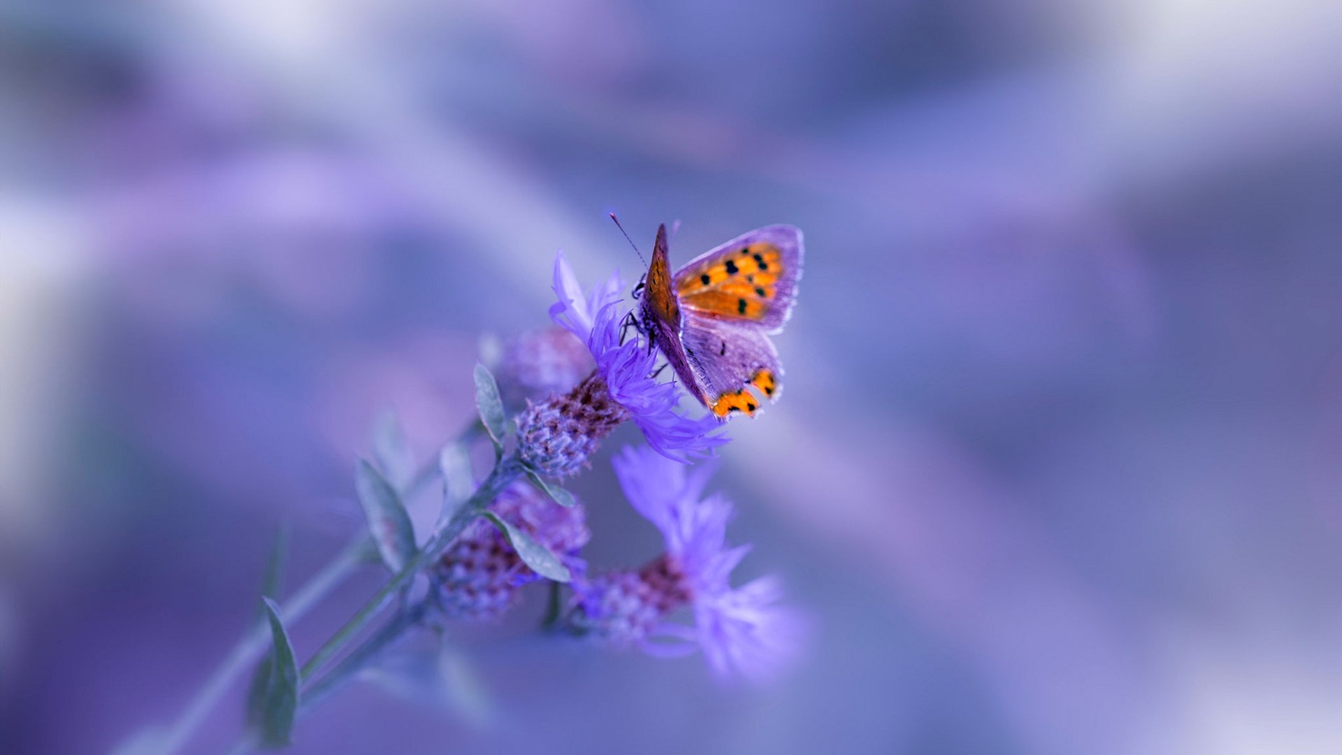 关键先生黄喜灿，比利亚雷亚尔绝杀阿森纳纪实