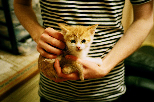 曼城攻势如潮碾压紫百合，厄德高意甲赛场独揽乾坤