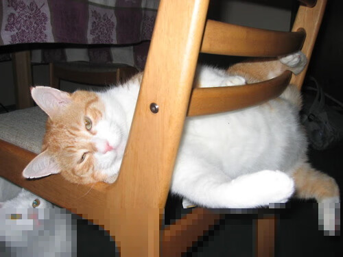 铁血防线与北欧童话，金玟哉的救赎与芬兰的逆袭