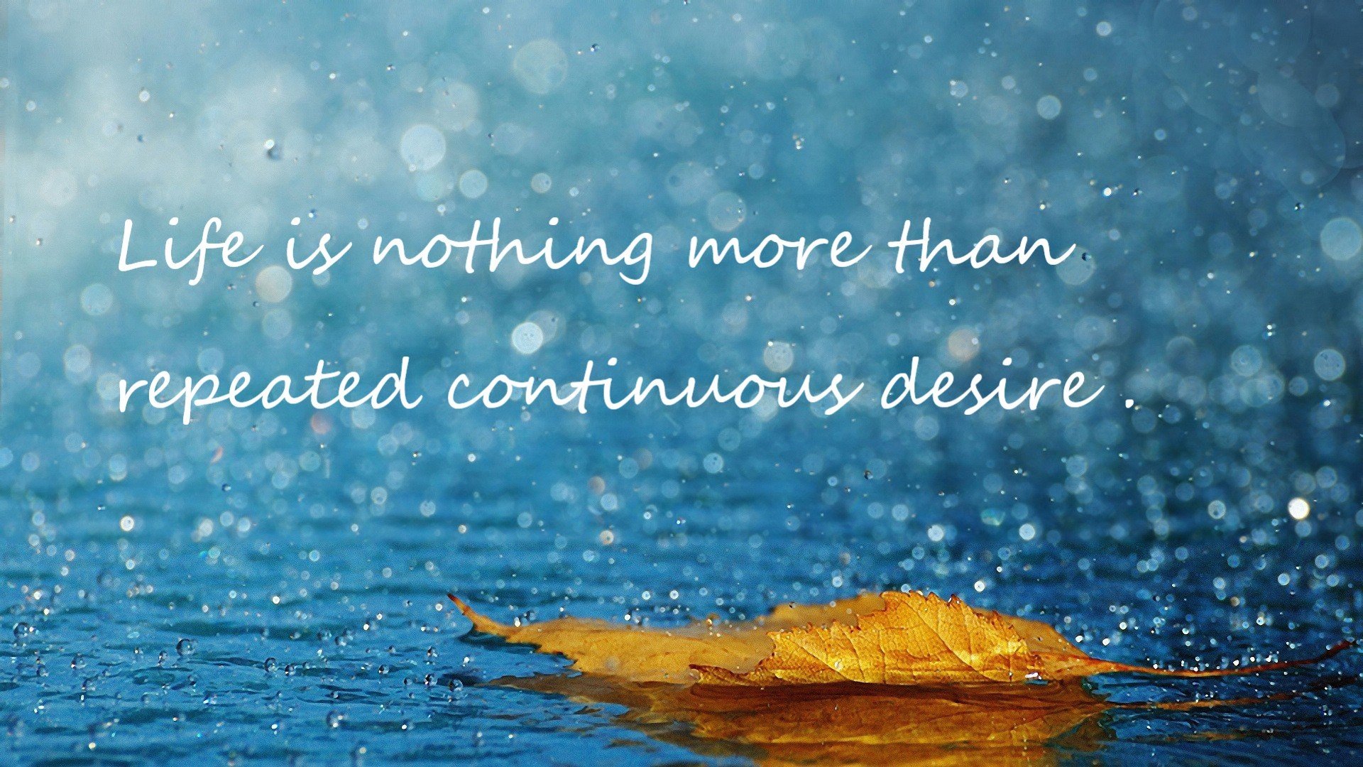 北欧海盗终迎掌舵人，苏亚雷斯闪耀哥德堡之夜