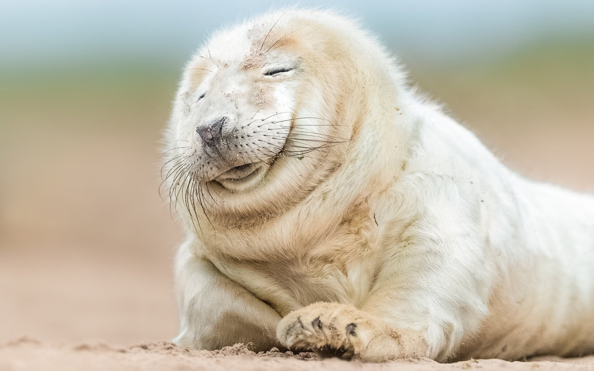 钢铁之盾与命运主宰，当防守成为最高级的进攻艺术