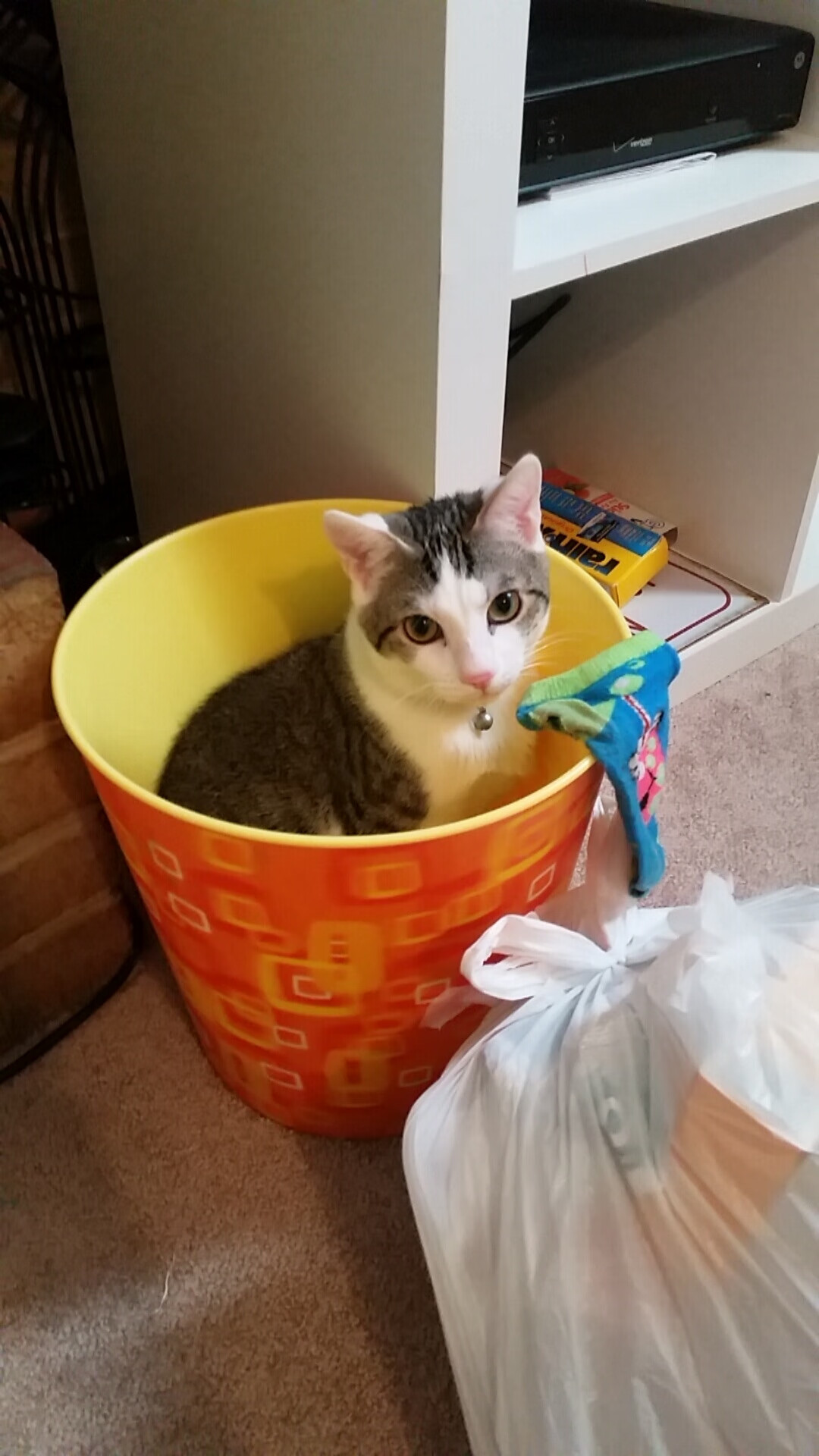 跨界征服，从塞维利亚的球门到NBA总决赛的篮筐