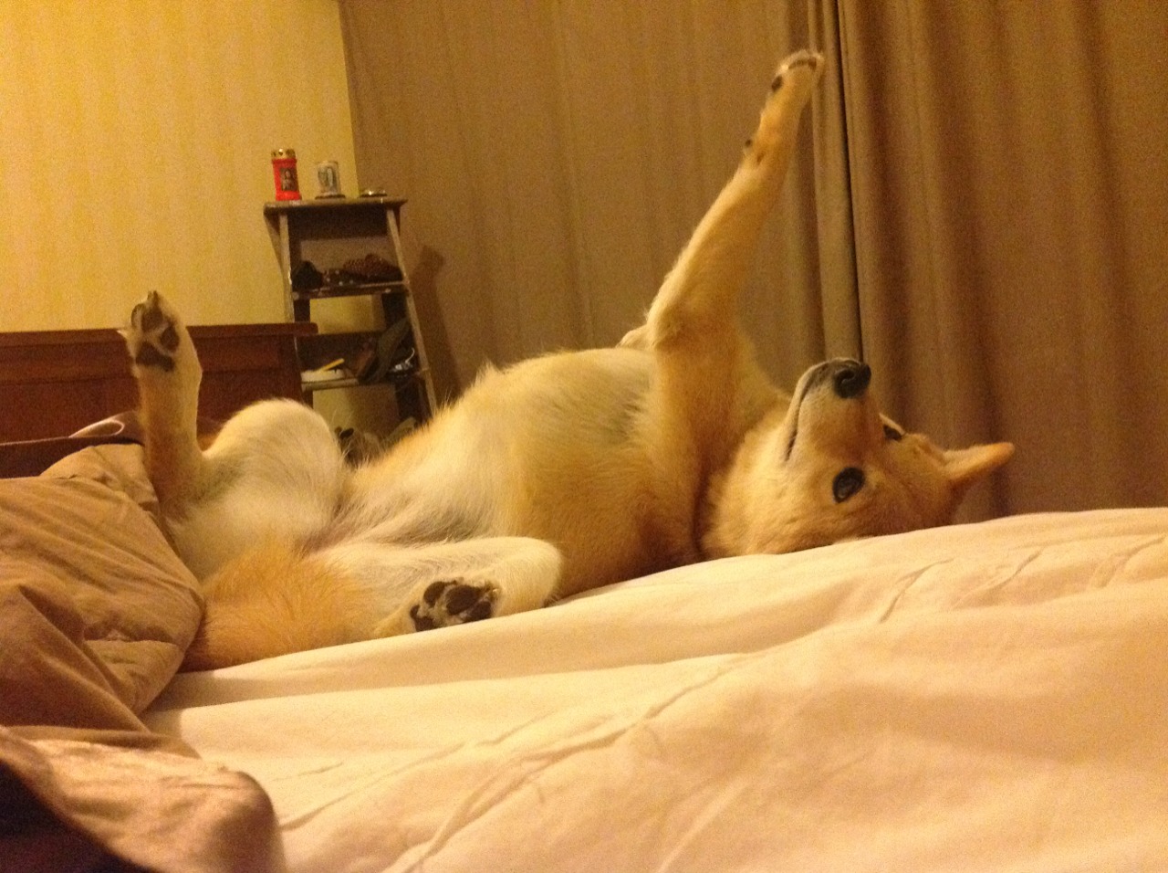 皮克全程高能输出,荷兰军团制霸佛罗伦萨