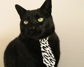 当欧冠荣光降临NBA总决赛夜，一场穿越的征服如何重塑体育想象