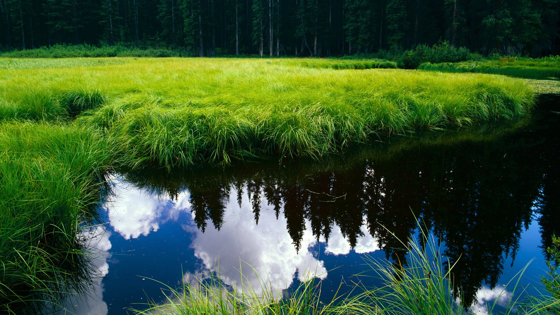 马刺新星闪耀波士顿，绿军客胜山西显底蕴