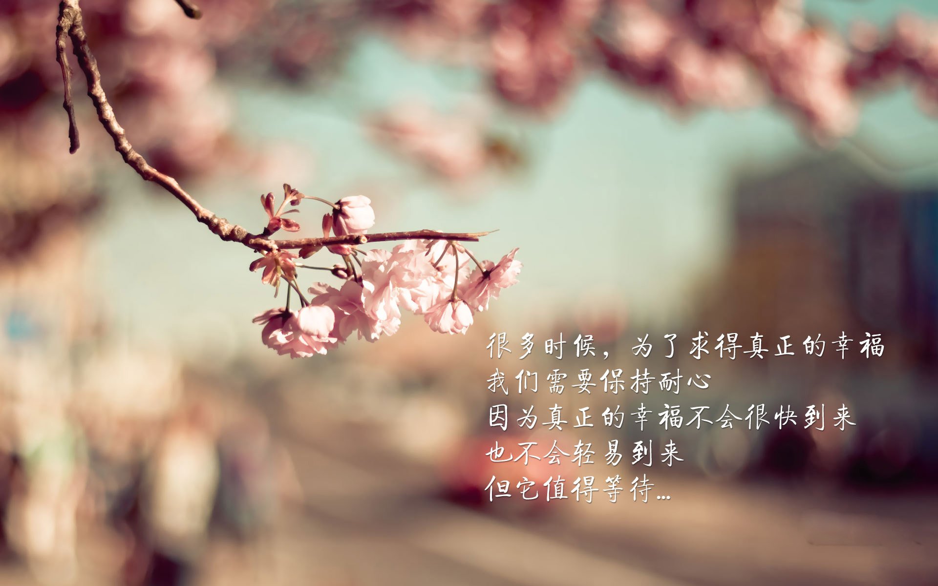 杜兰特狂轰42分,死神镰刀挥落浙江!开拓者晋级之路现曙光